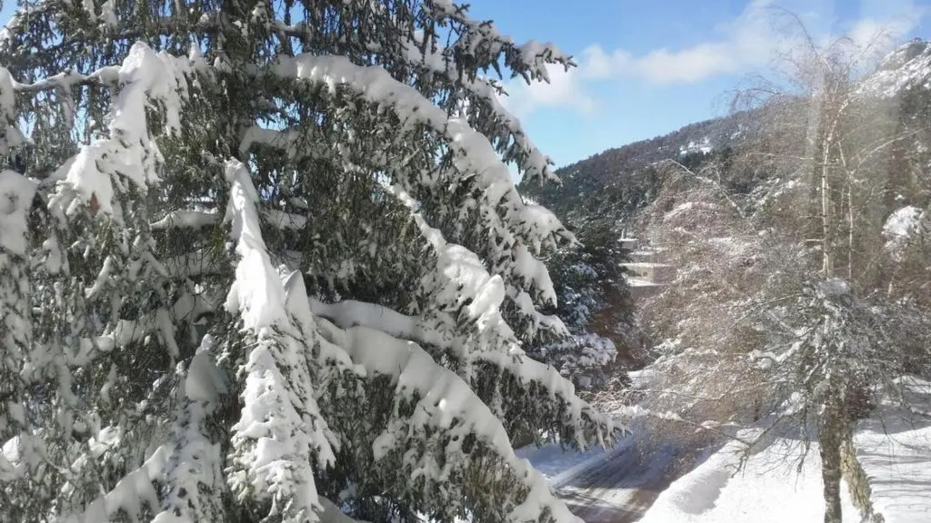 Apartamento Puerto de Navacerrada