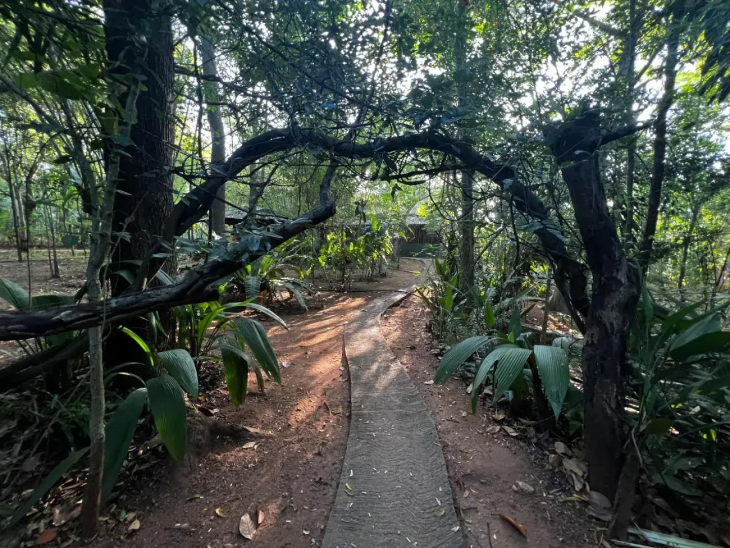 Walawa Blue Sapphire