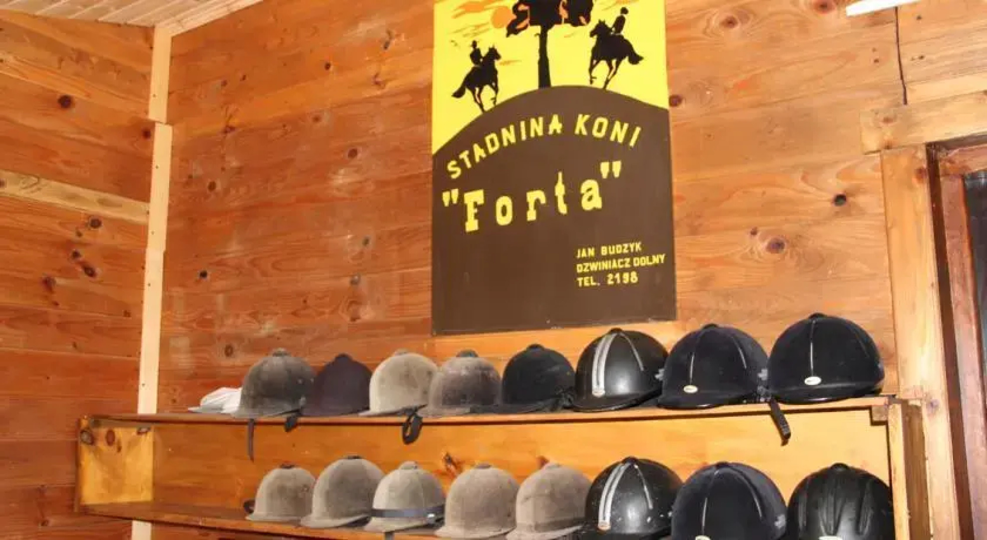 Forta nie tylko stadnina