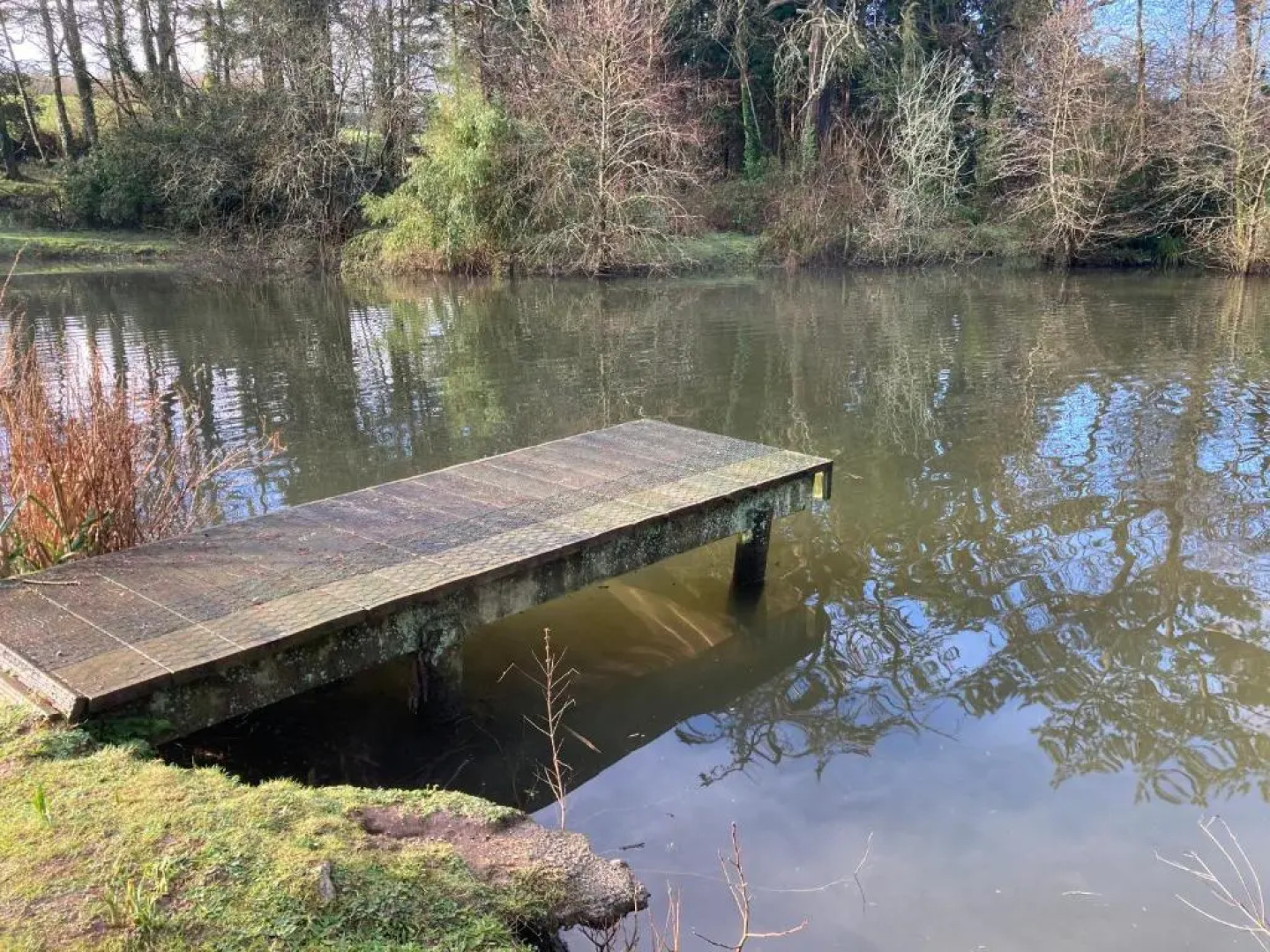 Hollyhocks Holiday Home-Luxury ground floor 2 bedroomed apartment sleeps 5