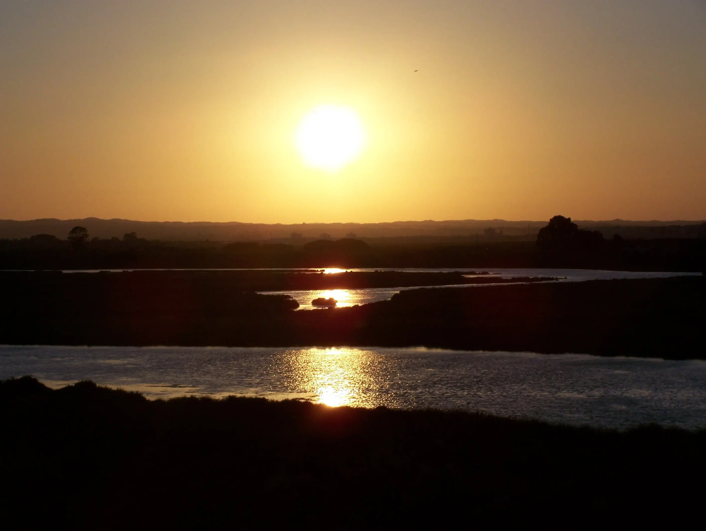 Leo Jardines de Isla Canela