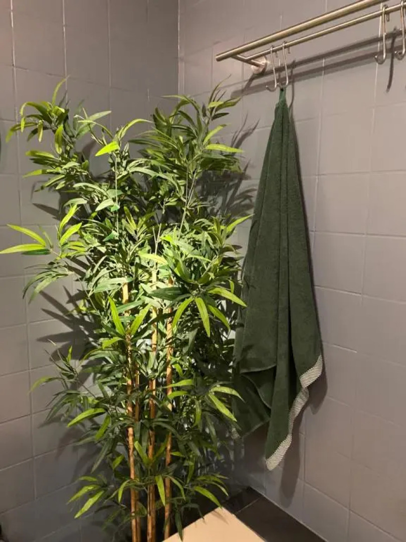 Homestay in a nice flat