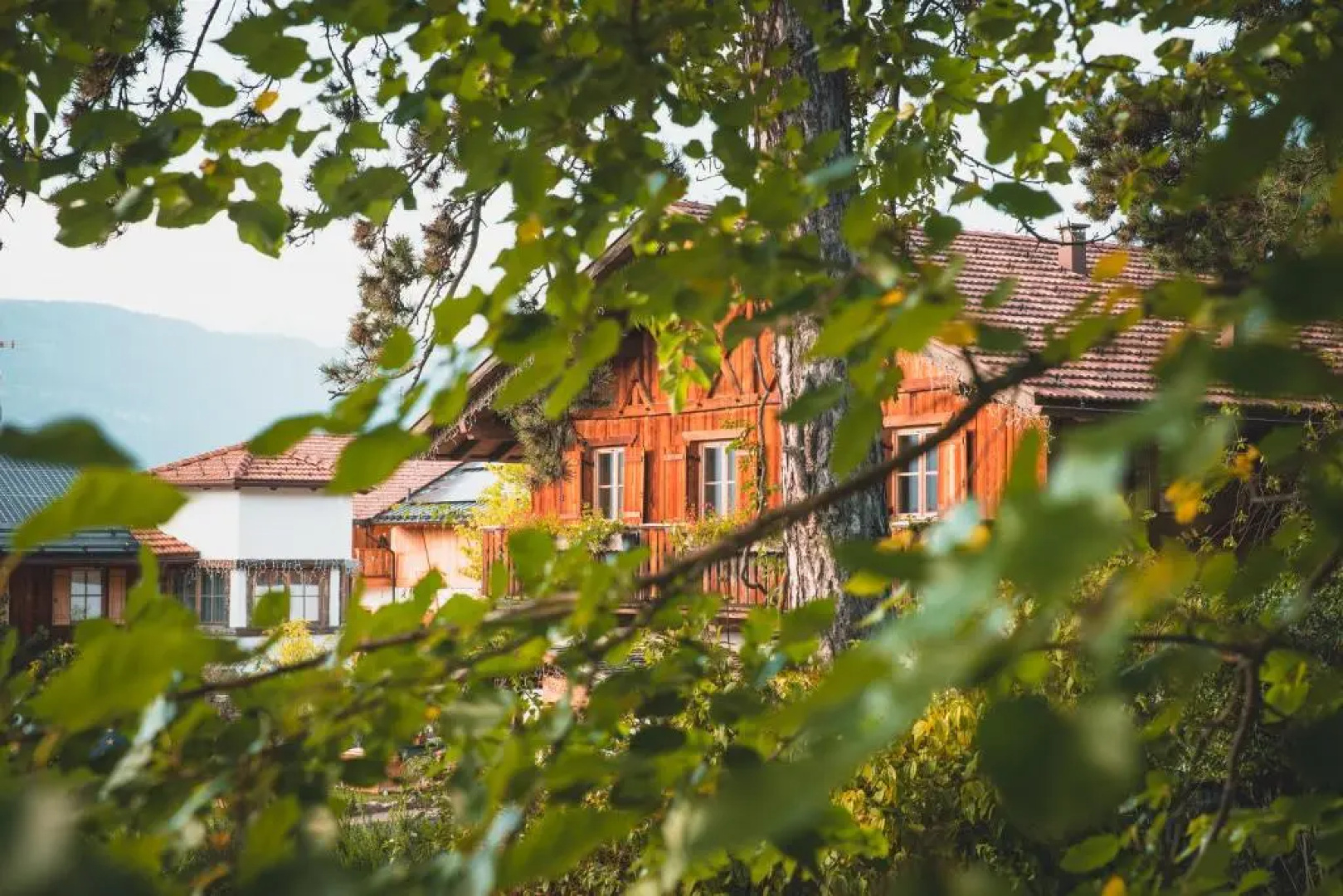 Pineta Hotels Nature Wellness Resort