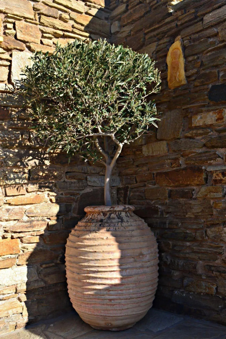 Tiniako Panorama - Tinos View