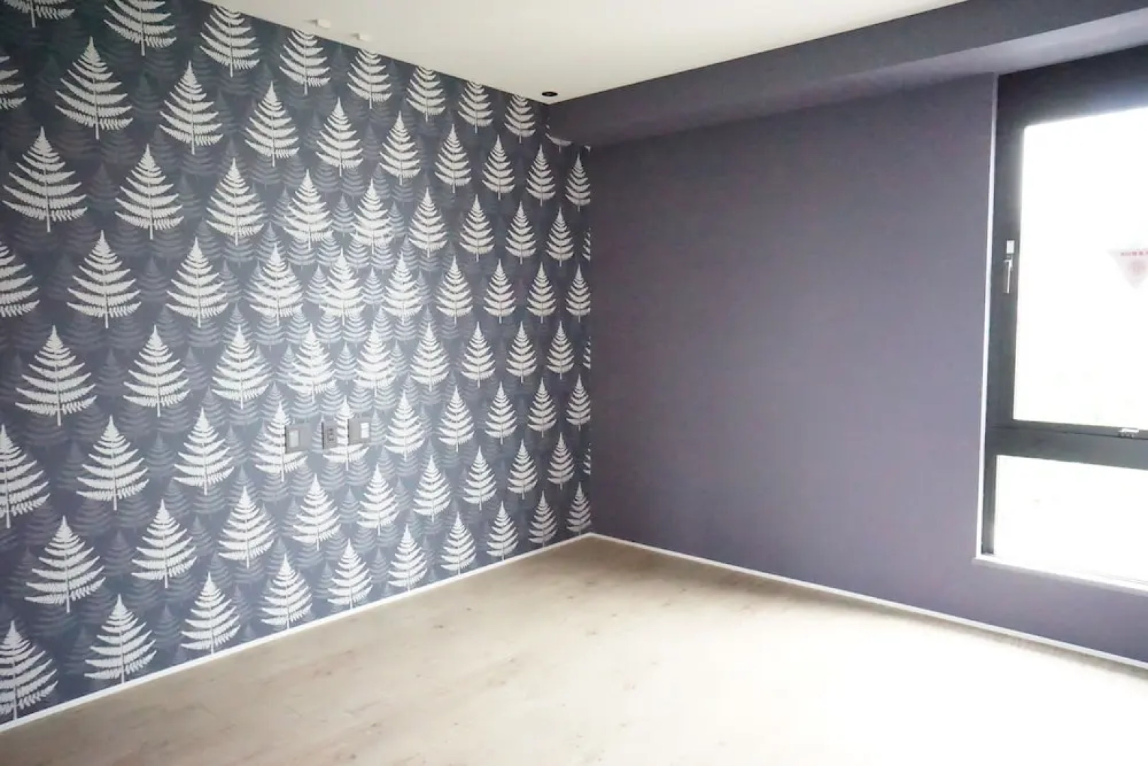 Blue Steak Wonder Senaha