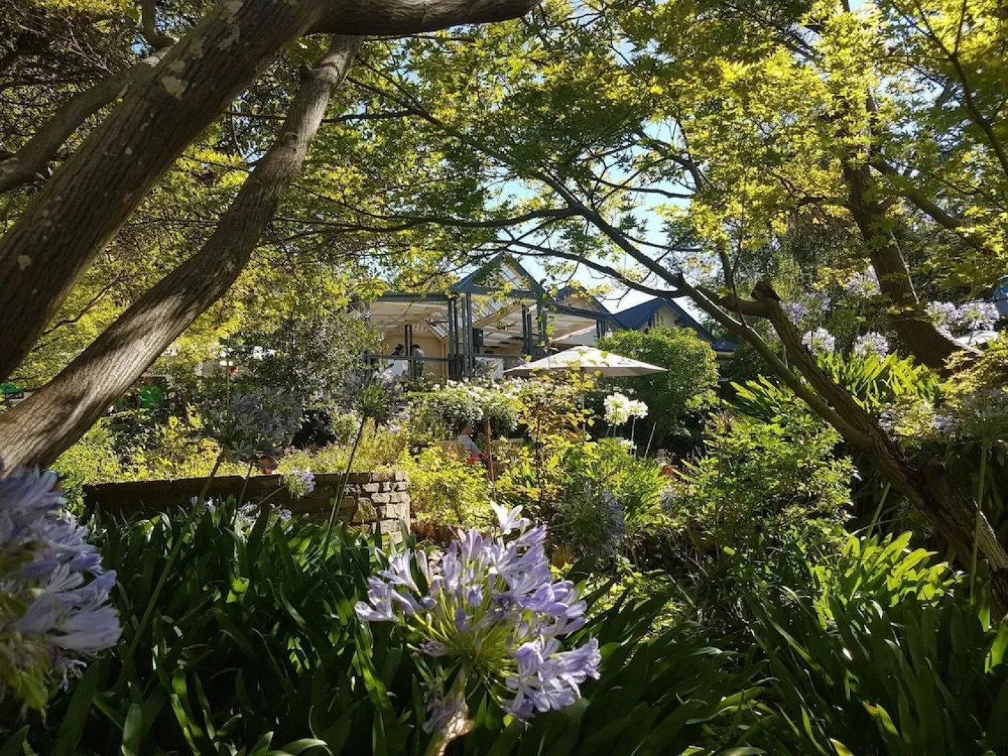 Cobb's Hill Homestead