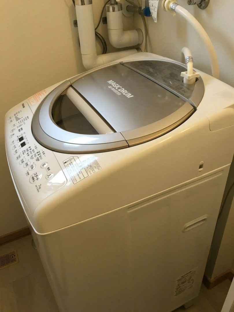 Wonderland Furano Maple