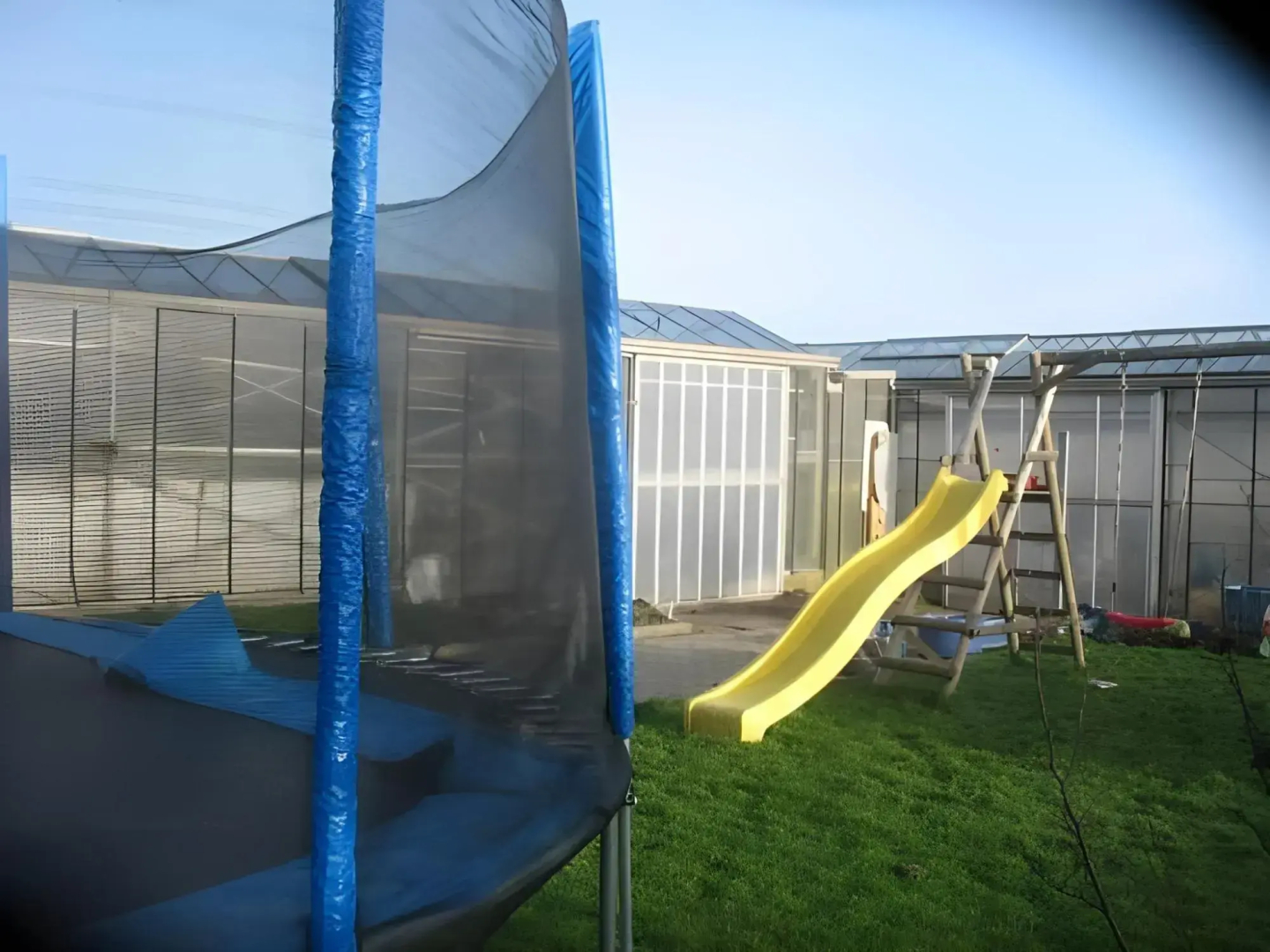B&b Greenhouse 37
