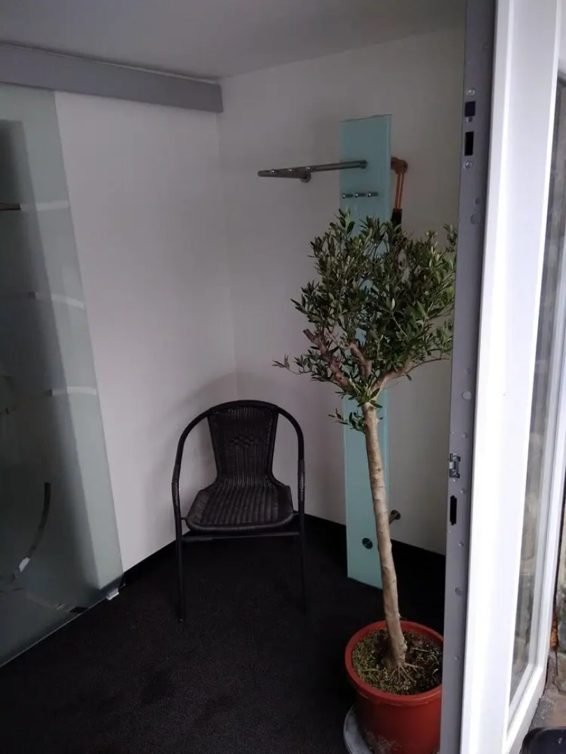 Modern-im-Erdgeschoss