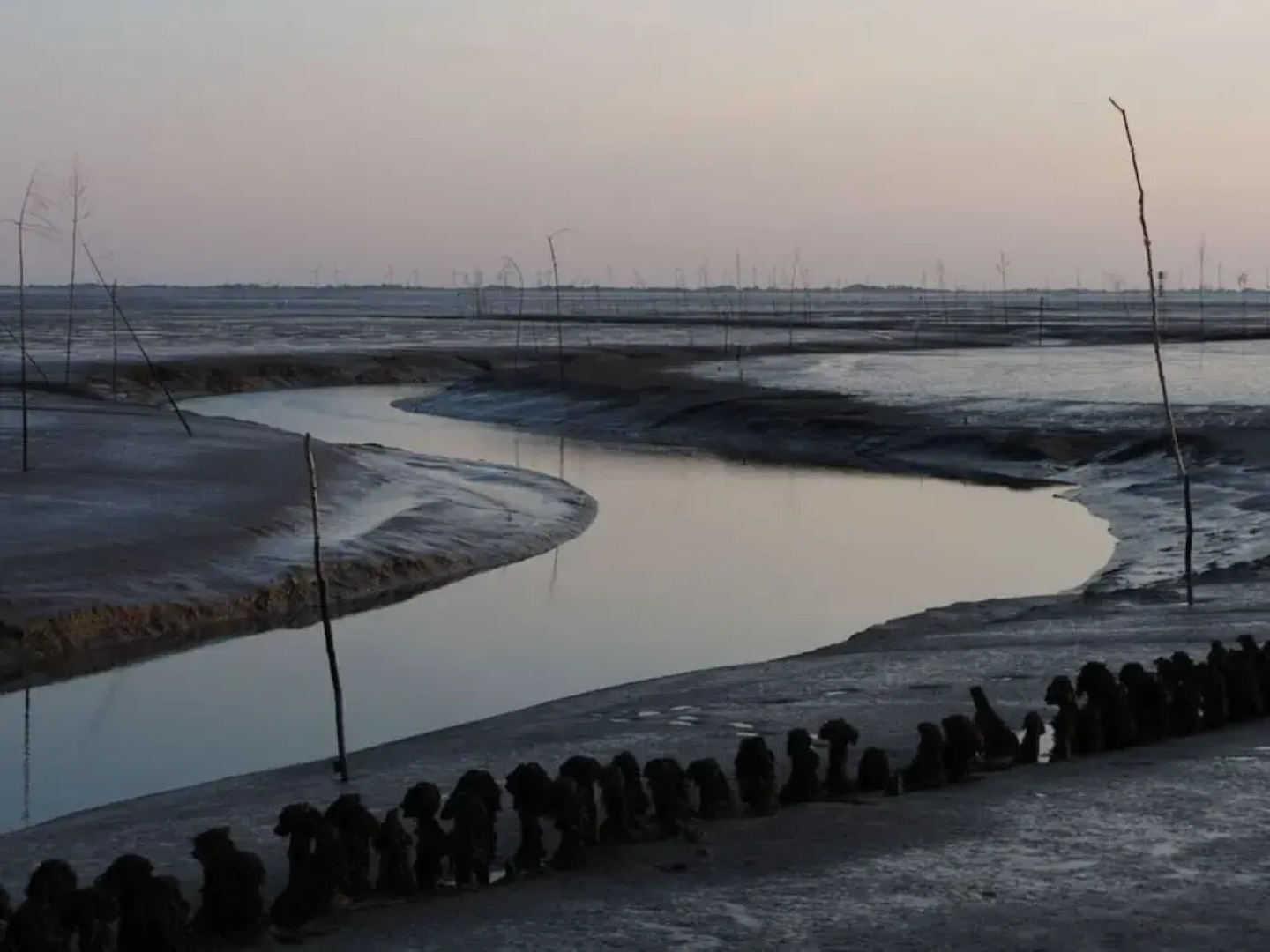 Deichloft Modern Retreat