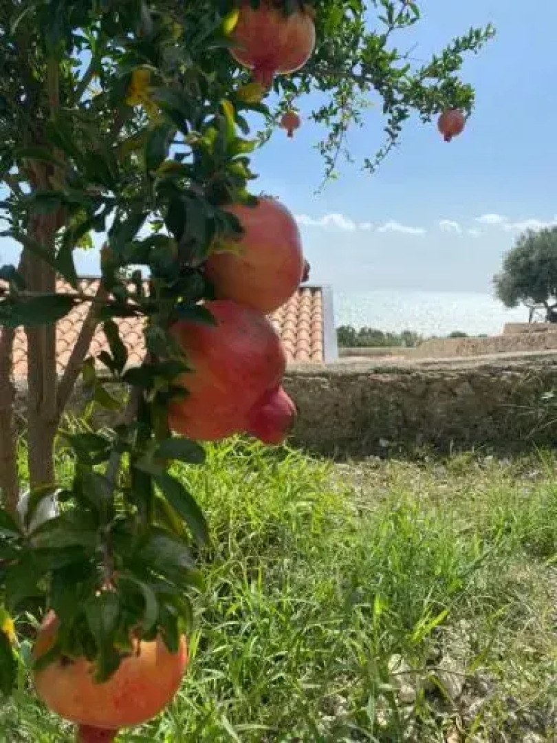 Appartamenti Al Canneto