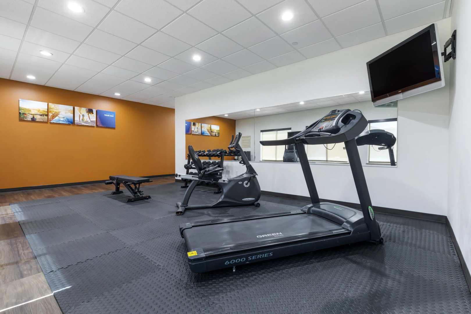 Comfort Suites University