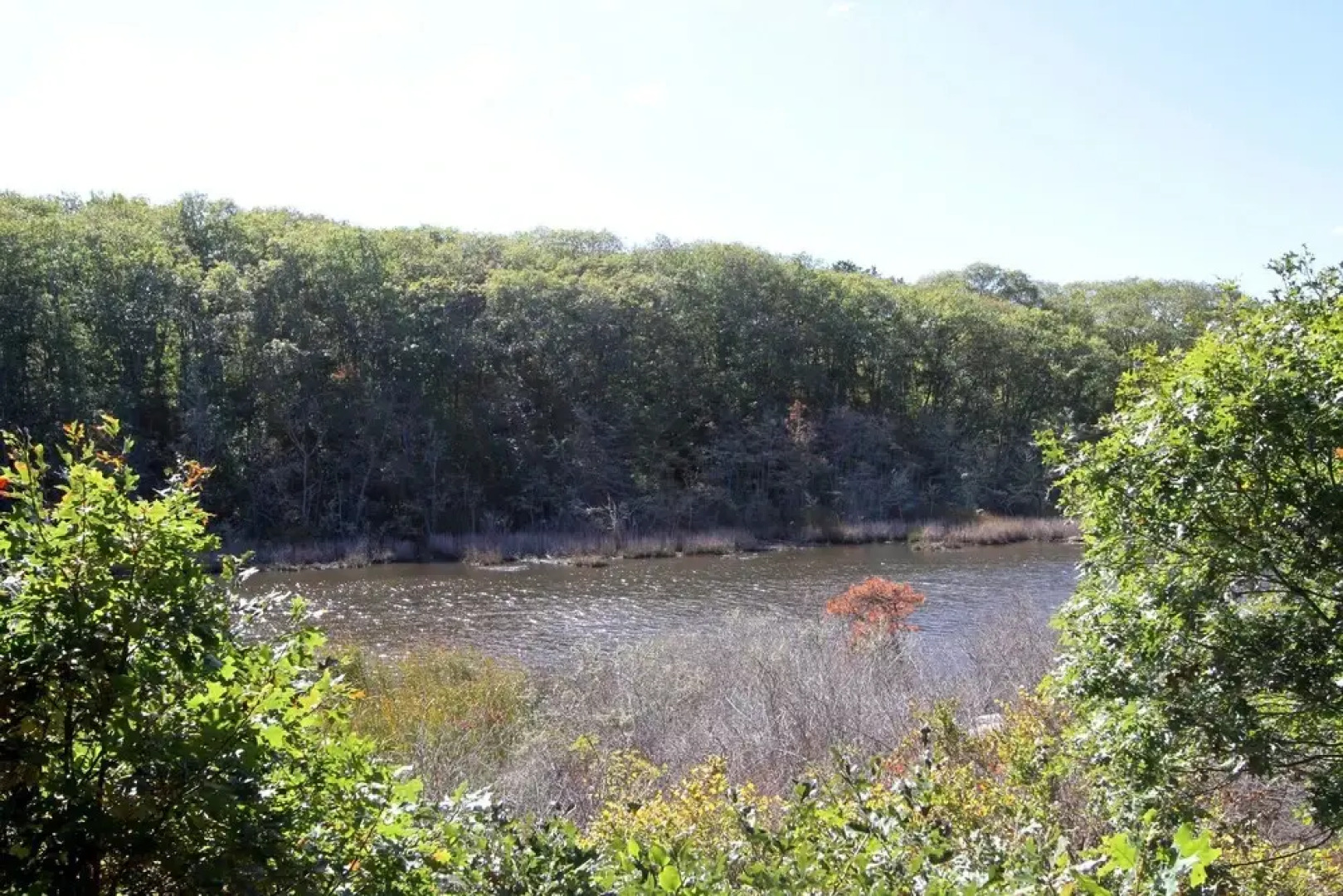 Wooded Chatham Home on the Monomoy by RedAwning