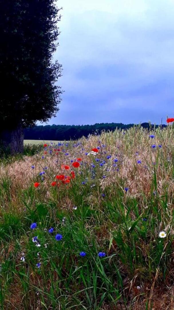 Ferienhotel Alter Bahnhof