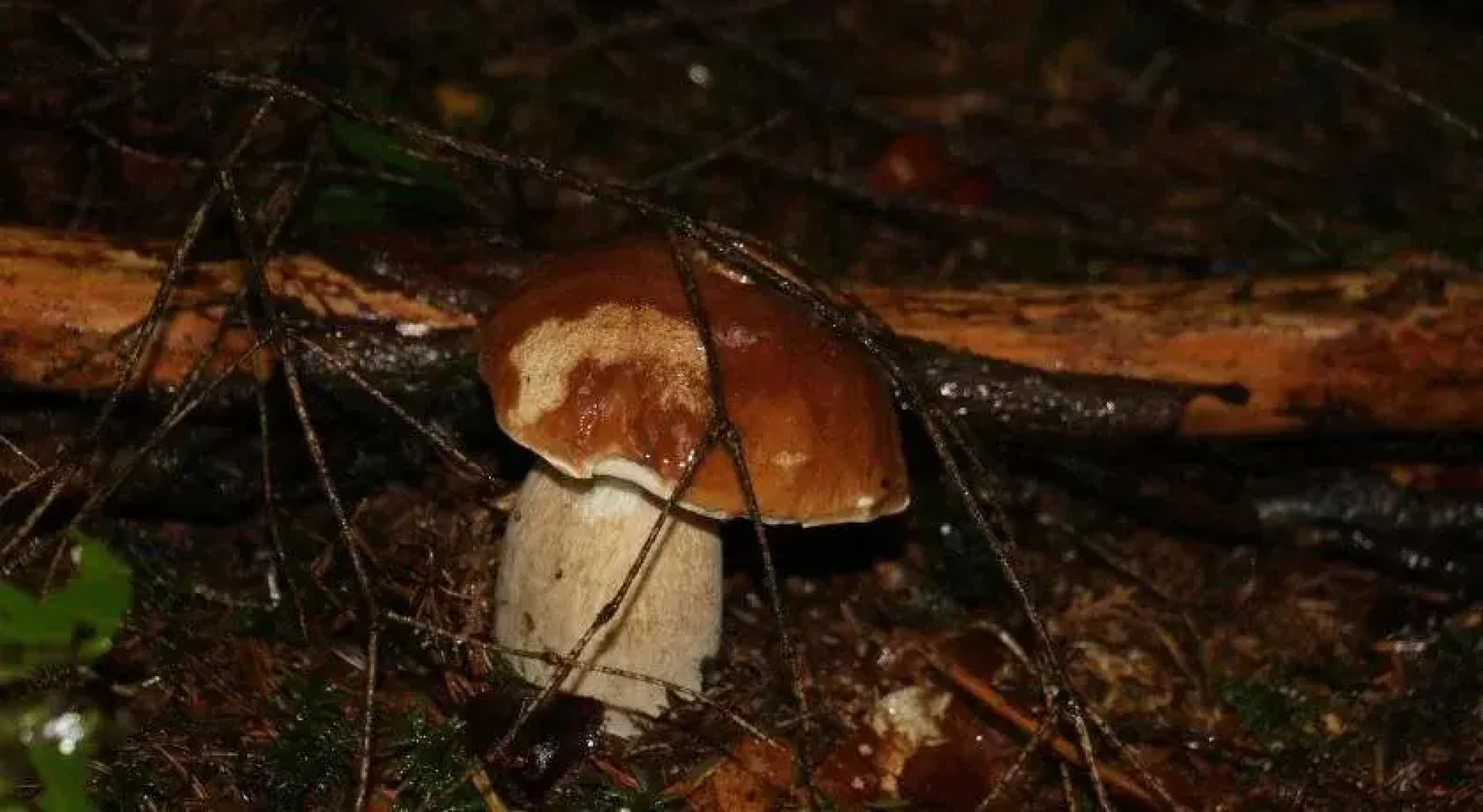 Le Relais du Vermont