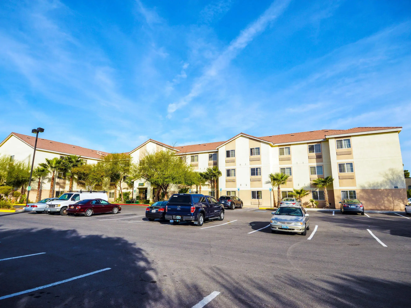 Siegel Select Flamingo