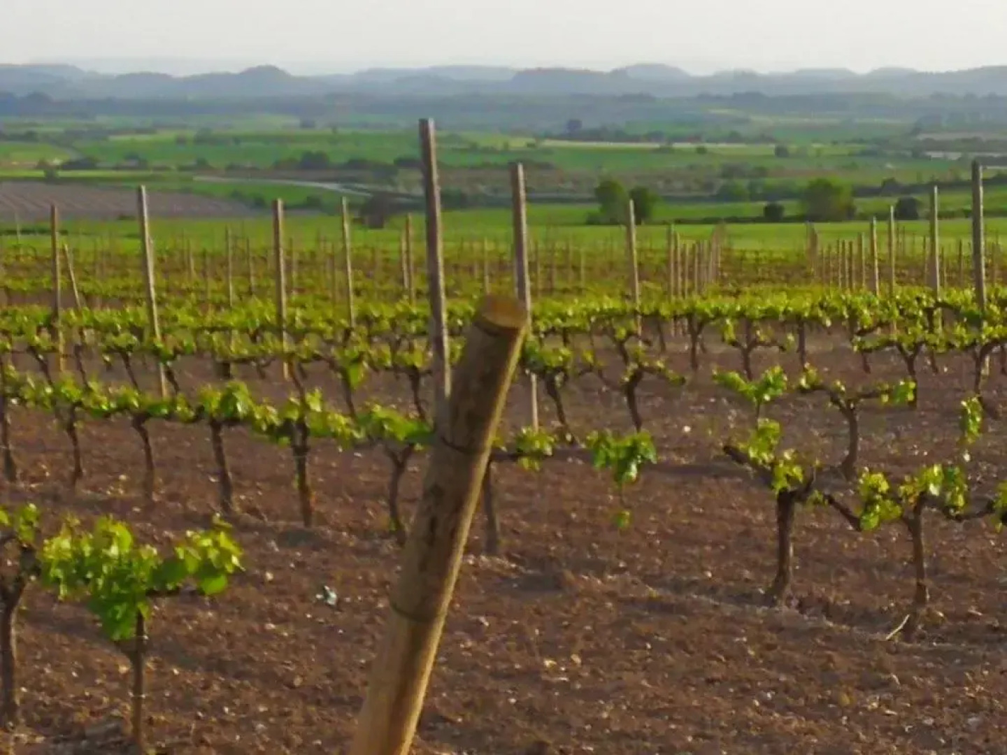 La Casa Dels Ocells- Adults Only