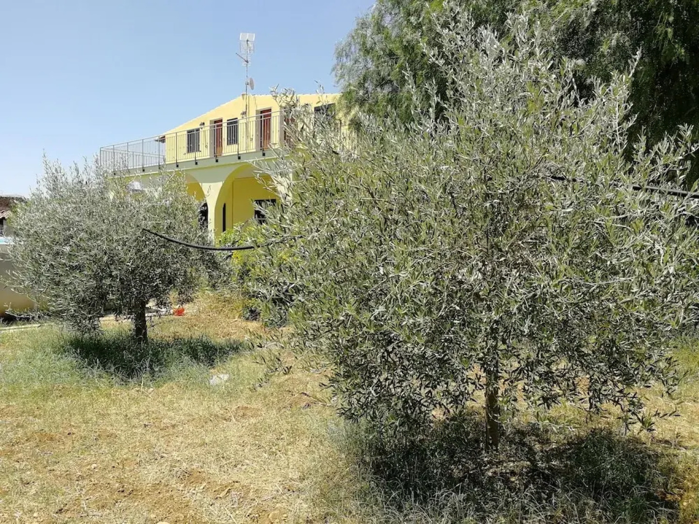 Villa Finaiti - Sole