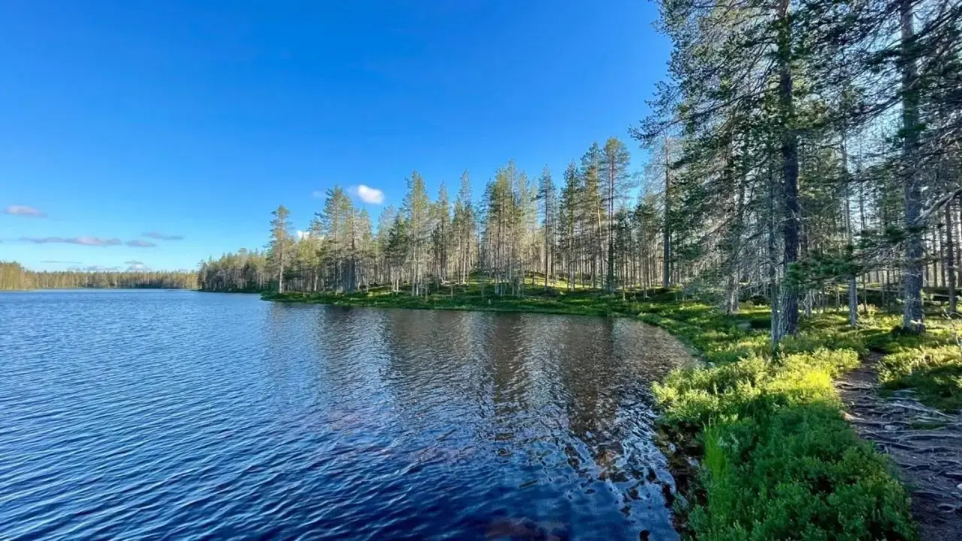 Lapiosalmi Wilderness Center