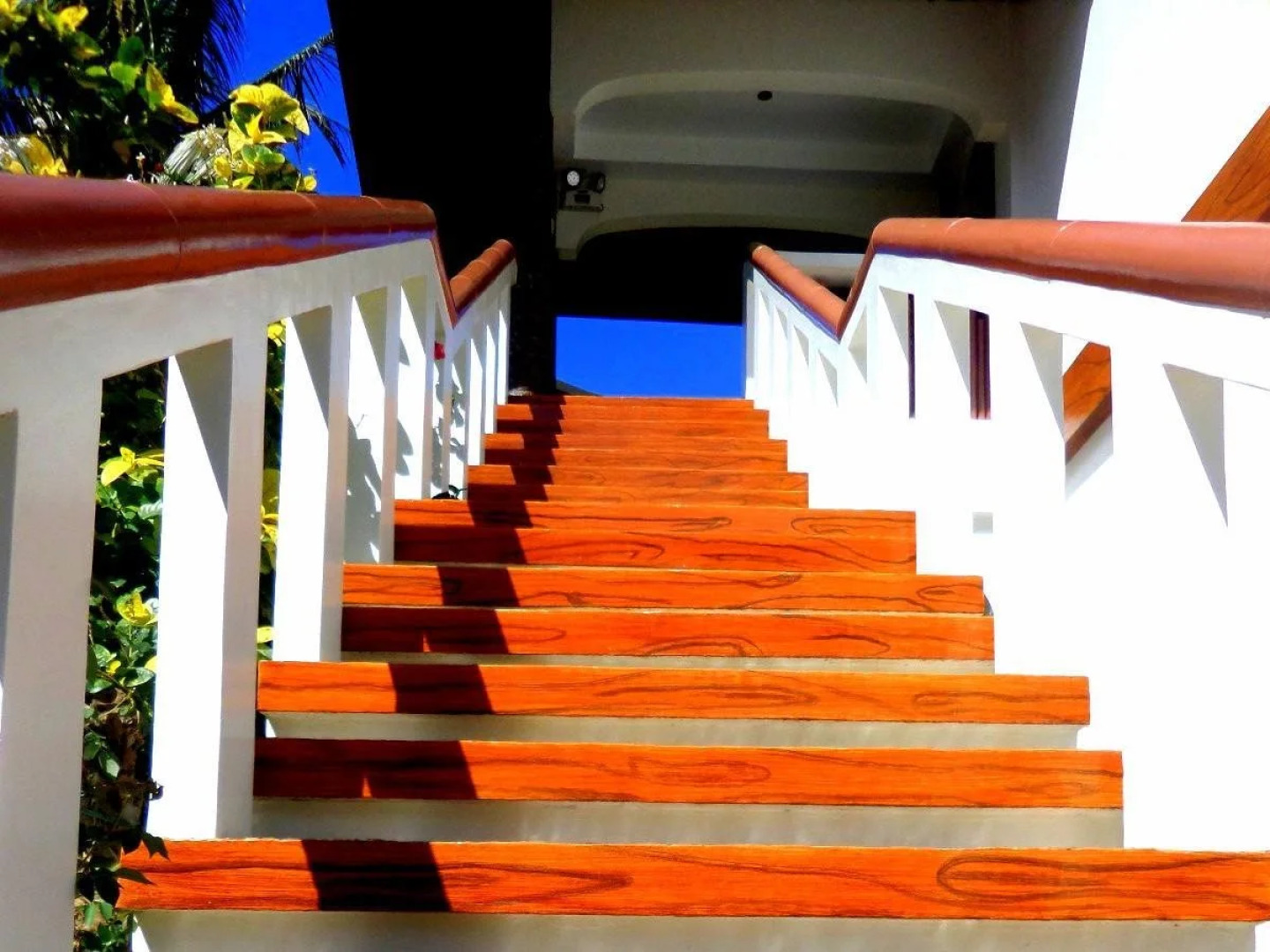 Oasis Resort and Spas