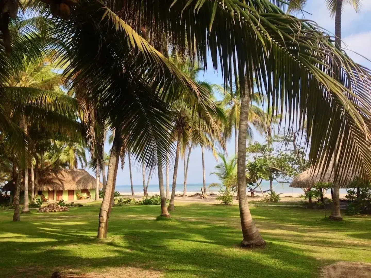 Eco Hostal Manakin Tayrona