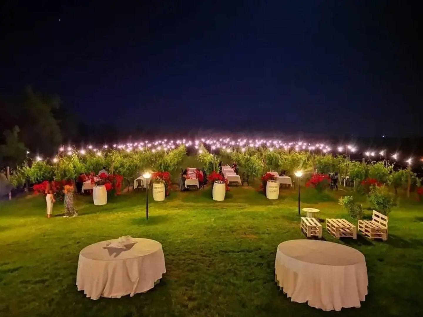 Podere Riosto Cantina&Agriturismo