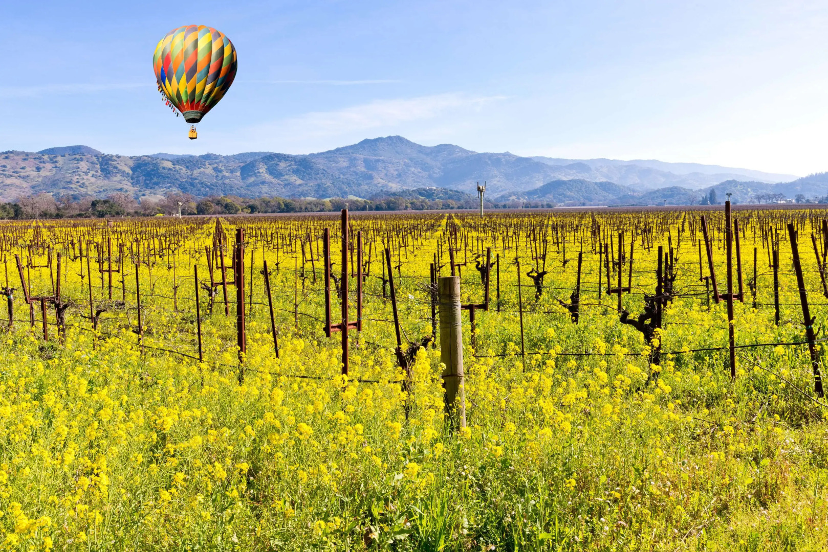 Grand Reserve at The Meritage