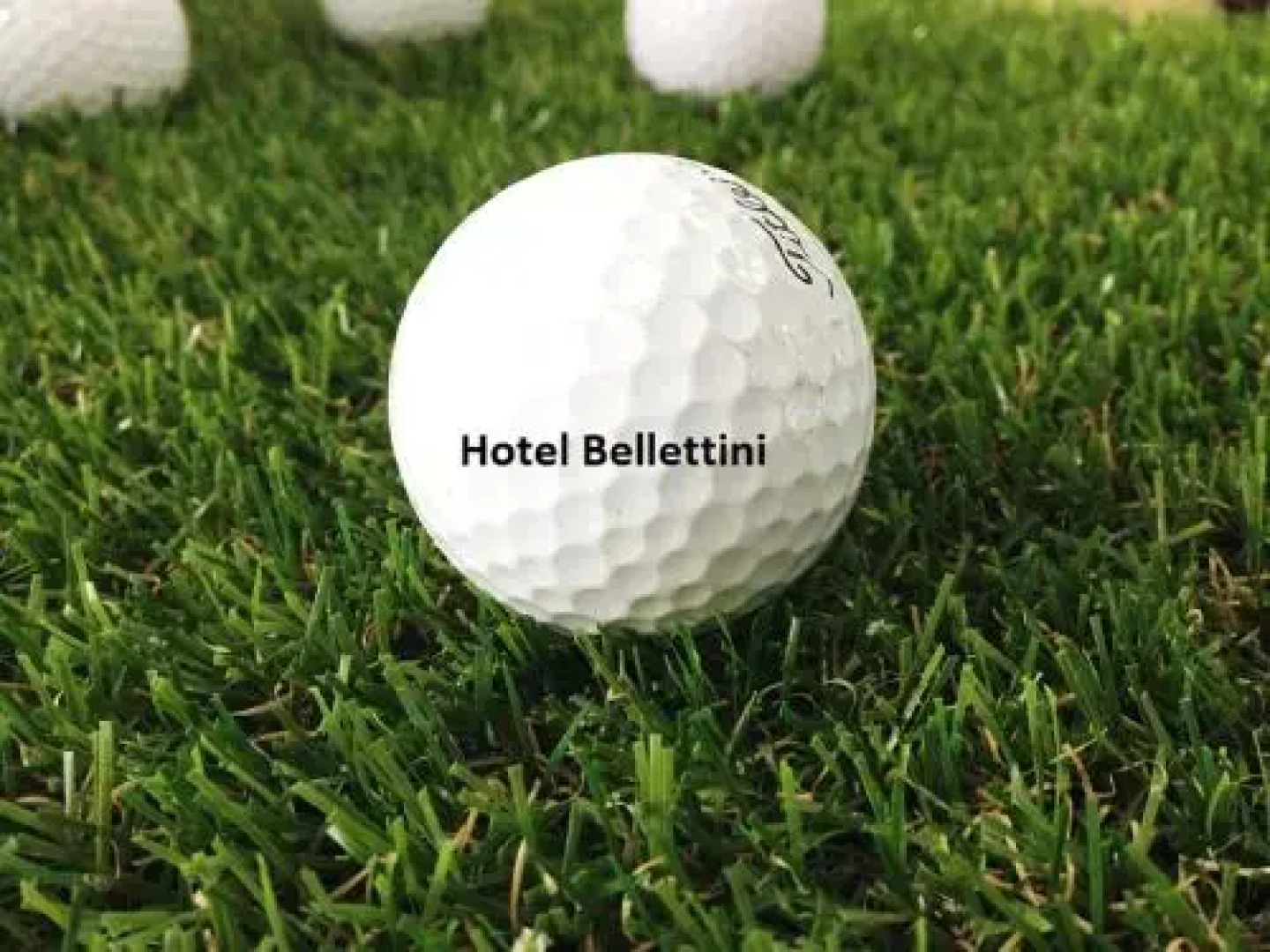 Bellettini Hotel