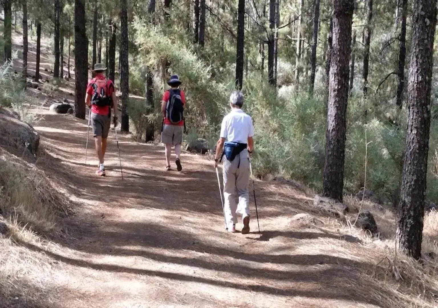 La Palmera1 casa al primer piso con 2 dormitorios - Two Bedroom House on the first floor --- La Palmera 2 casa en planta baja con 1 dormitorio, One Bedroom House on the Ground Floor