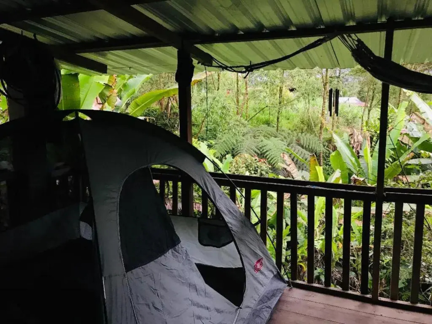 The House of the Peace