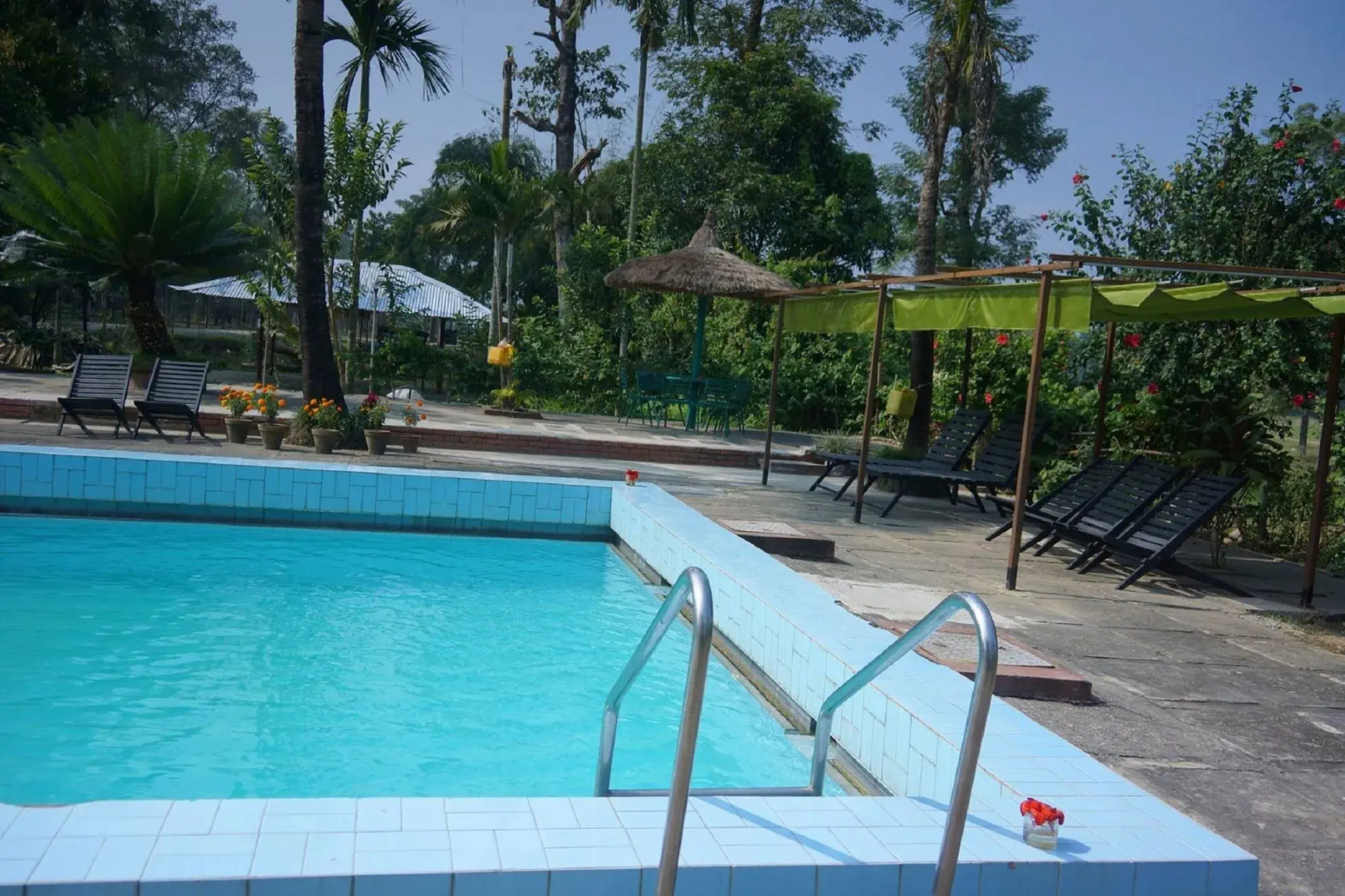 Baghmara Wildlife Resort