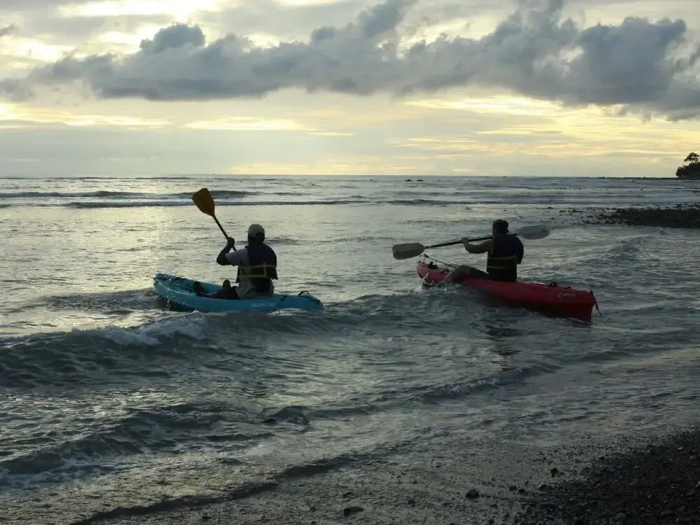 The Howler Monkey Hotel