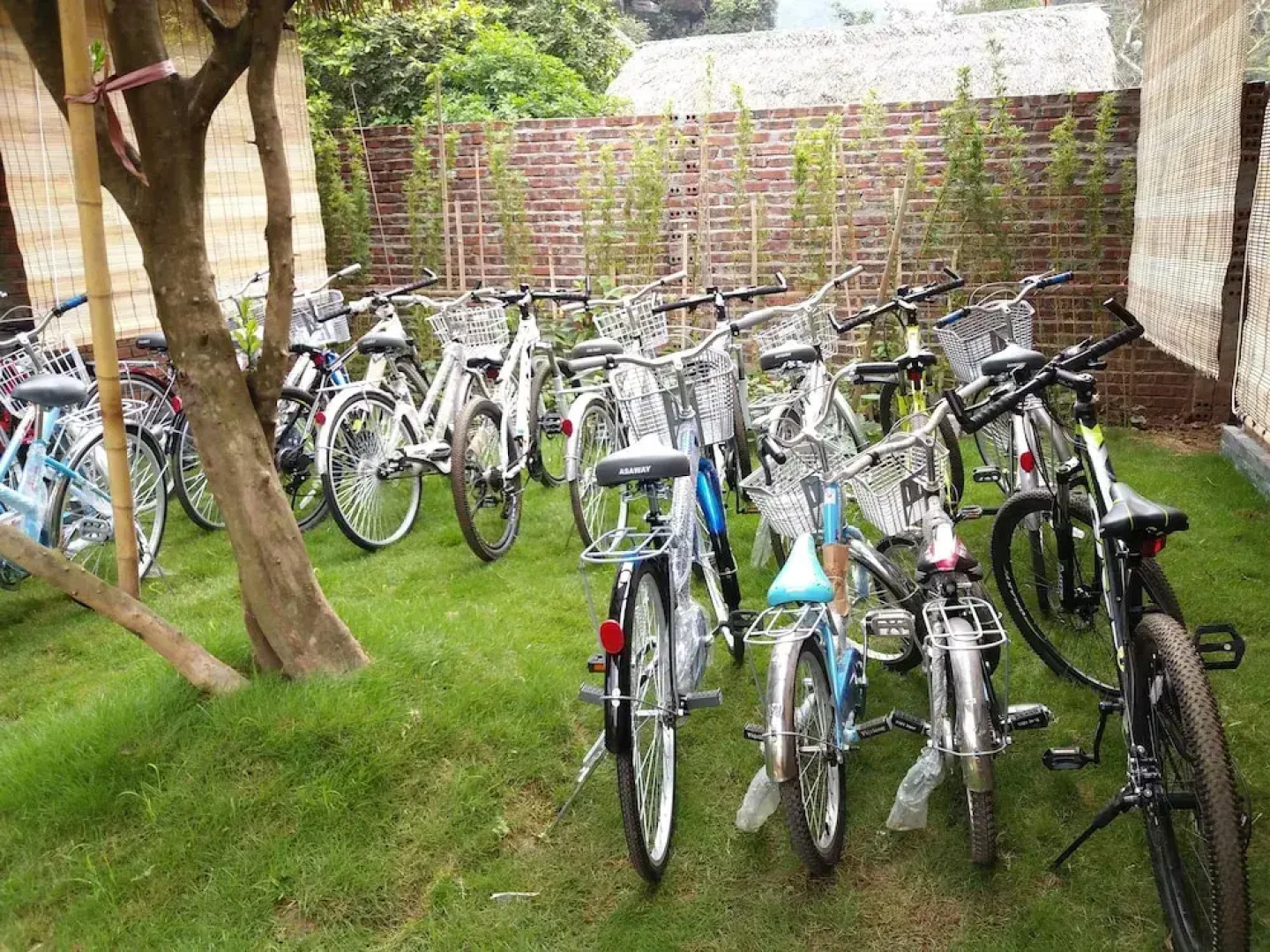 Quoc Khanh Bamboo Homestay - Hostel