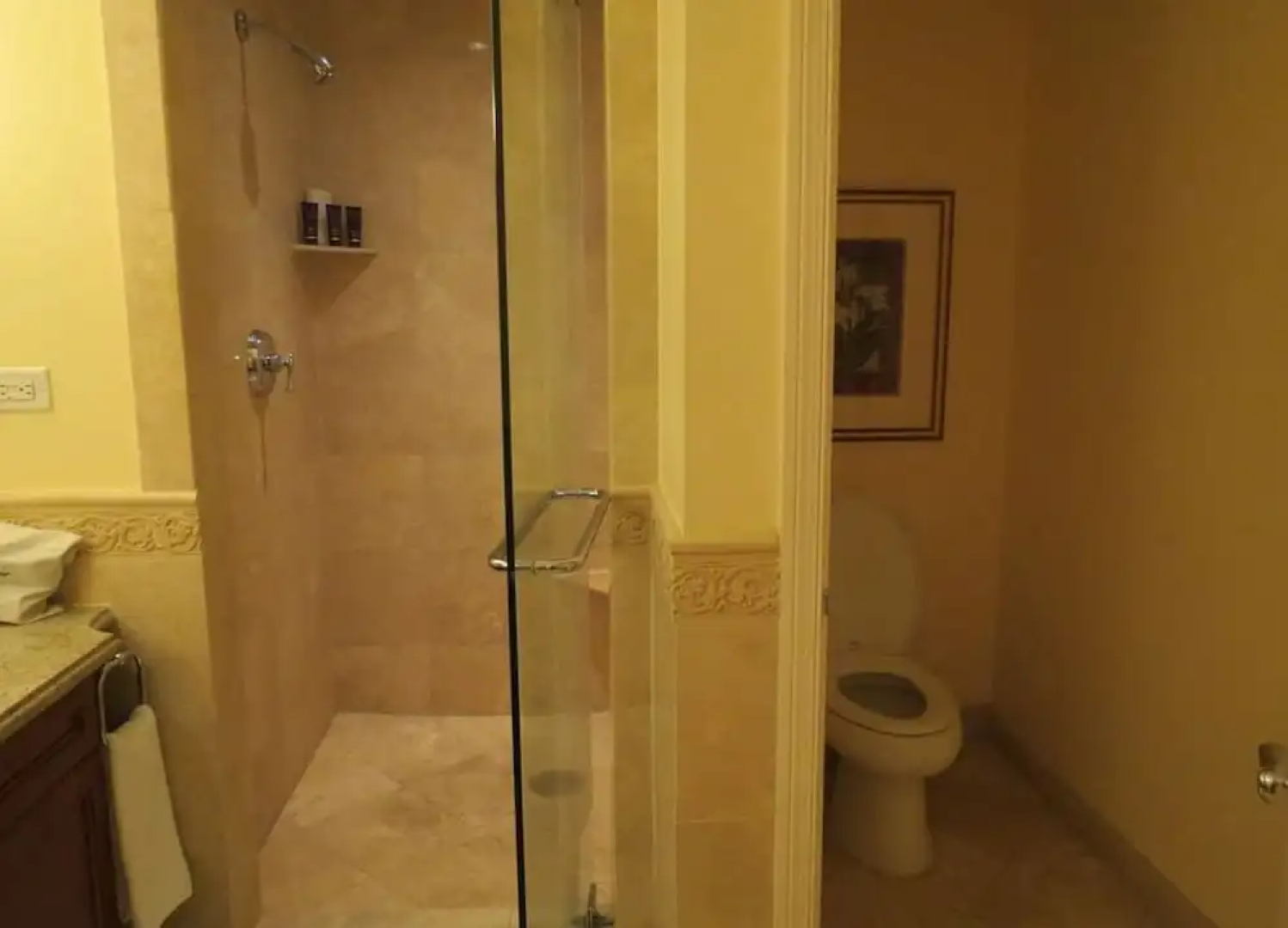 Ritz Carlton Club 2BR Residence