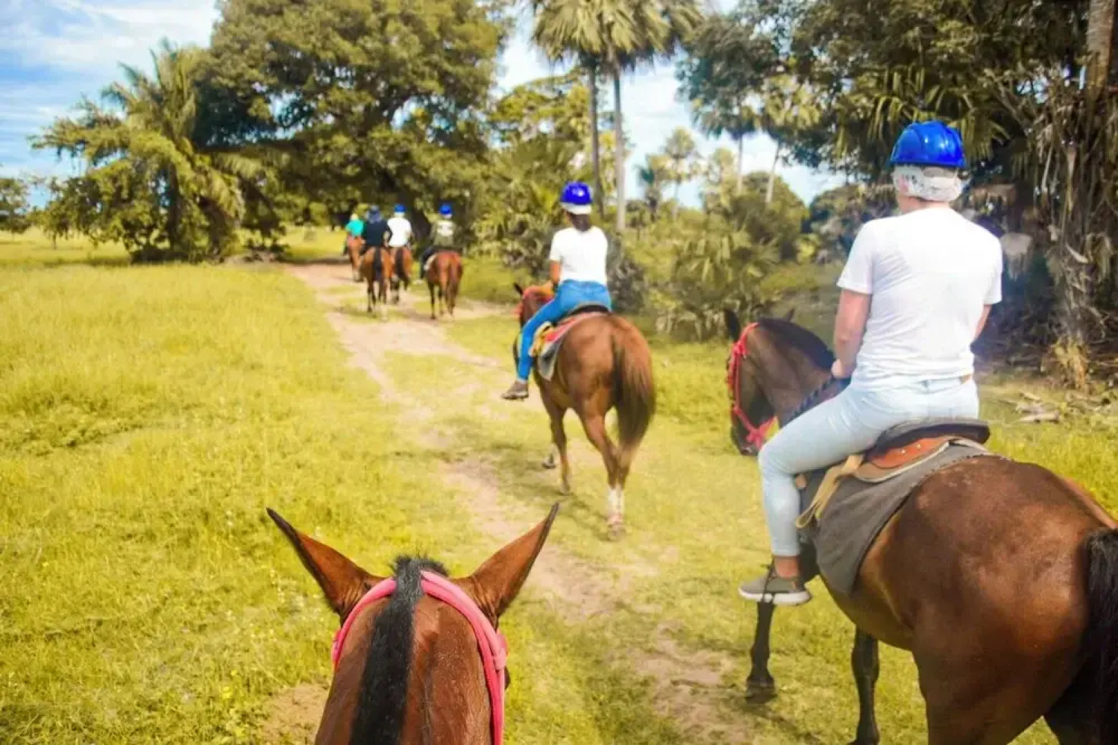 Pousada Arara Azul - Pantanal sul