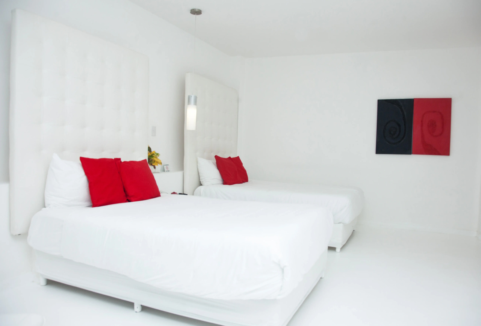 Le Cameleon Puerto Viejo