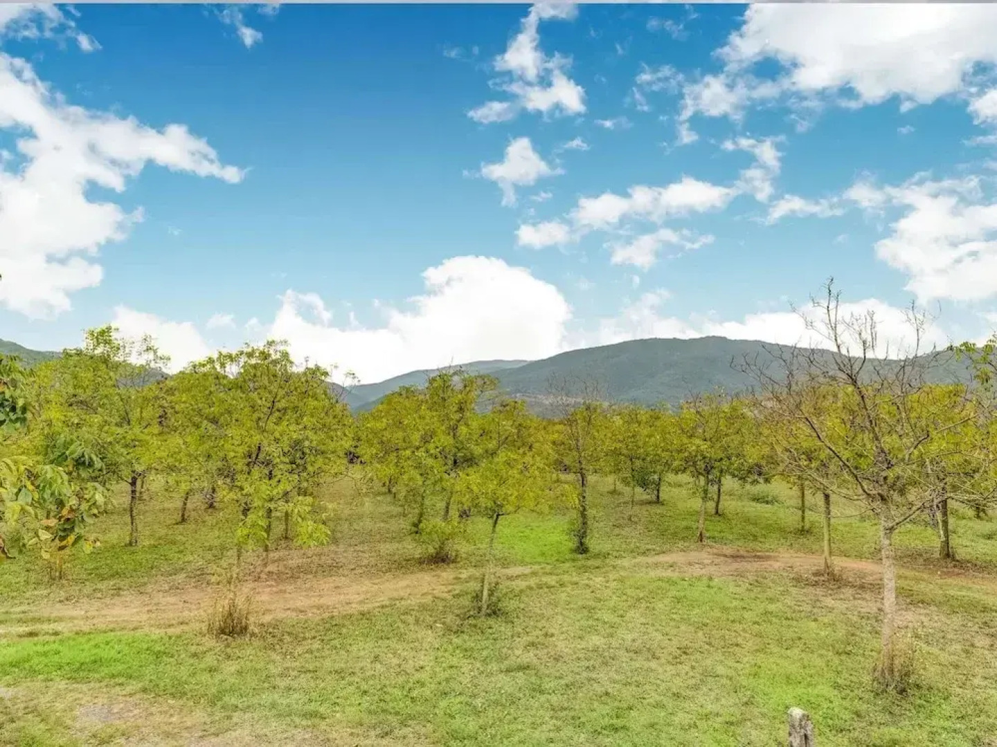 Welcoming Holiday Home with Swimming Pool in Le Ville