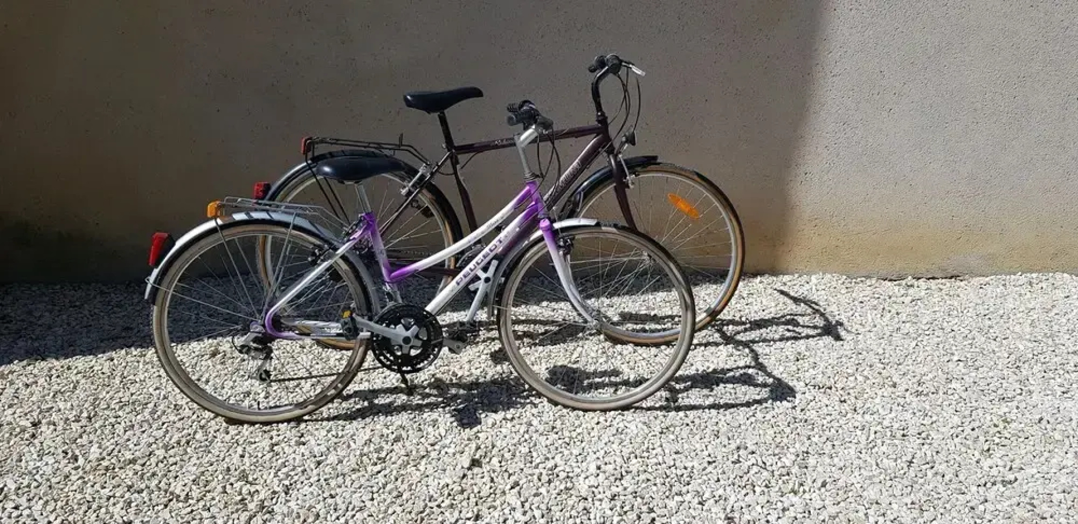 Domaine et Manoir du Picaud