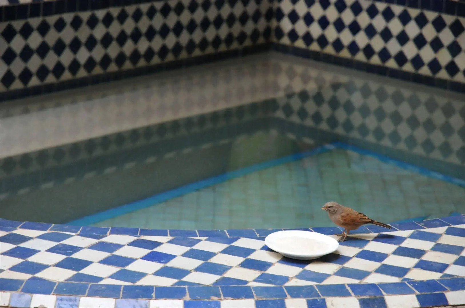 Riad Lauriers Blancs