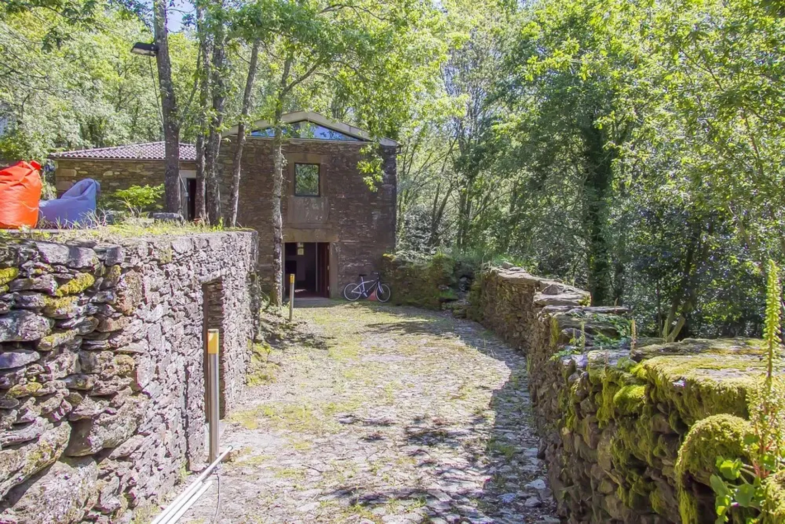 Liiiving in Caminha - Oak Tree Chill