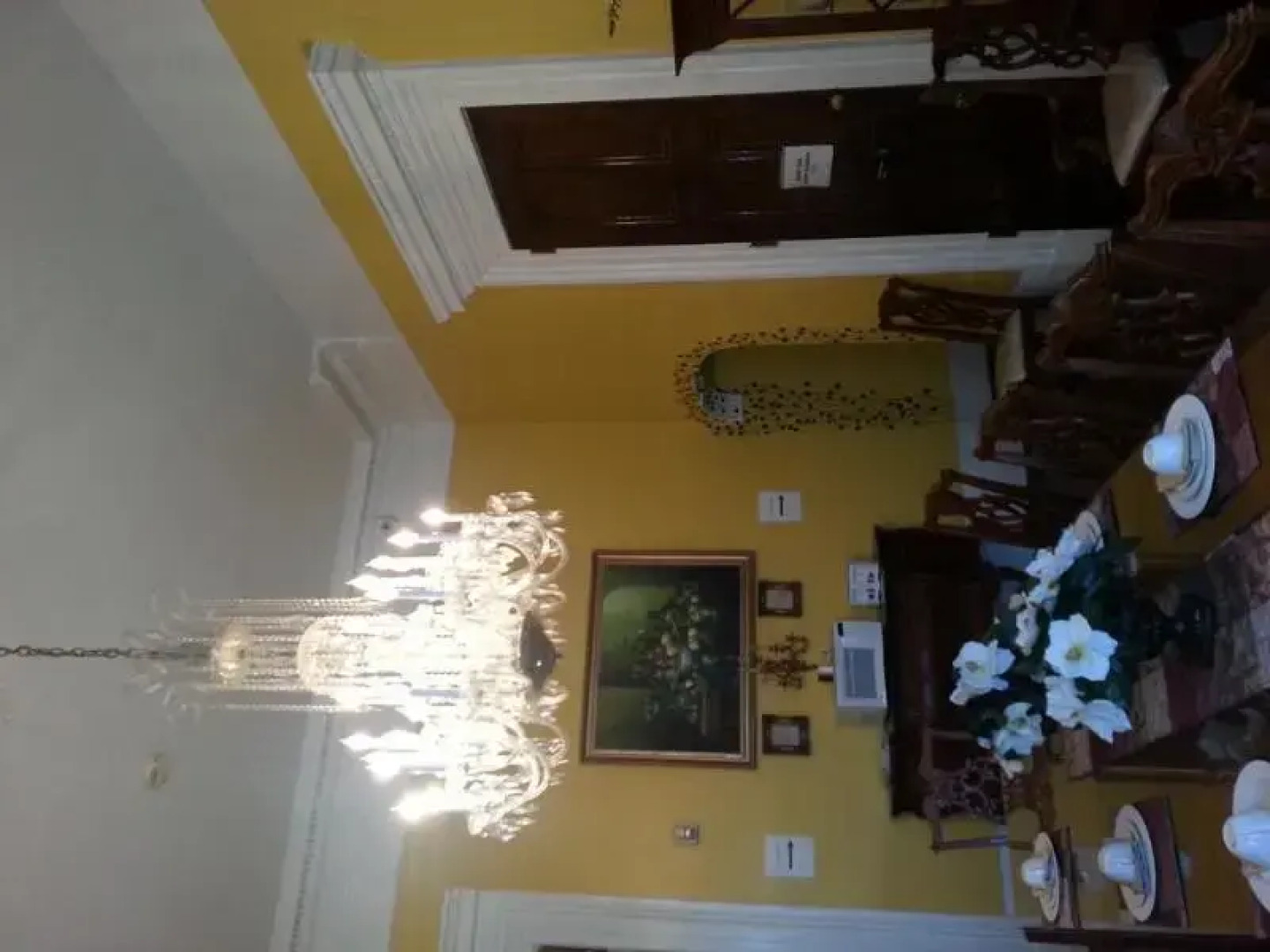 The Magnolia Mansion