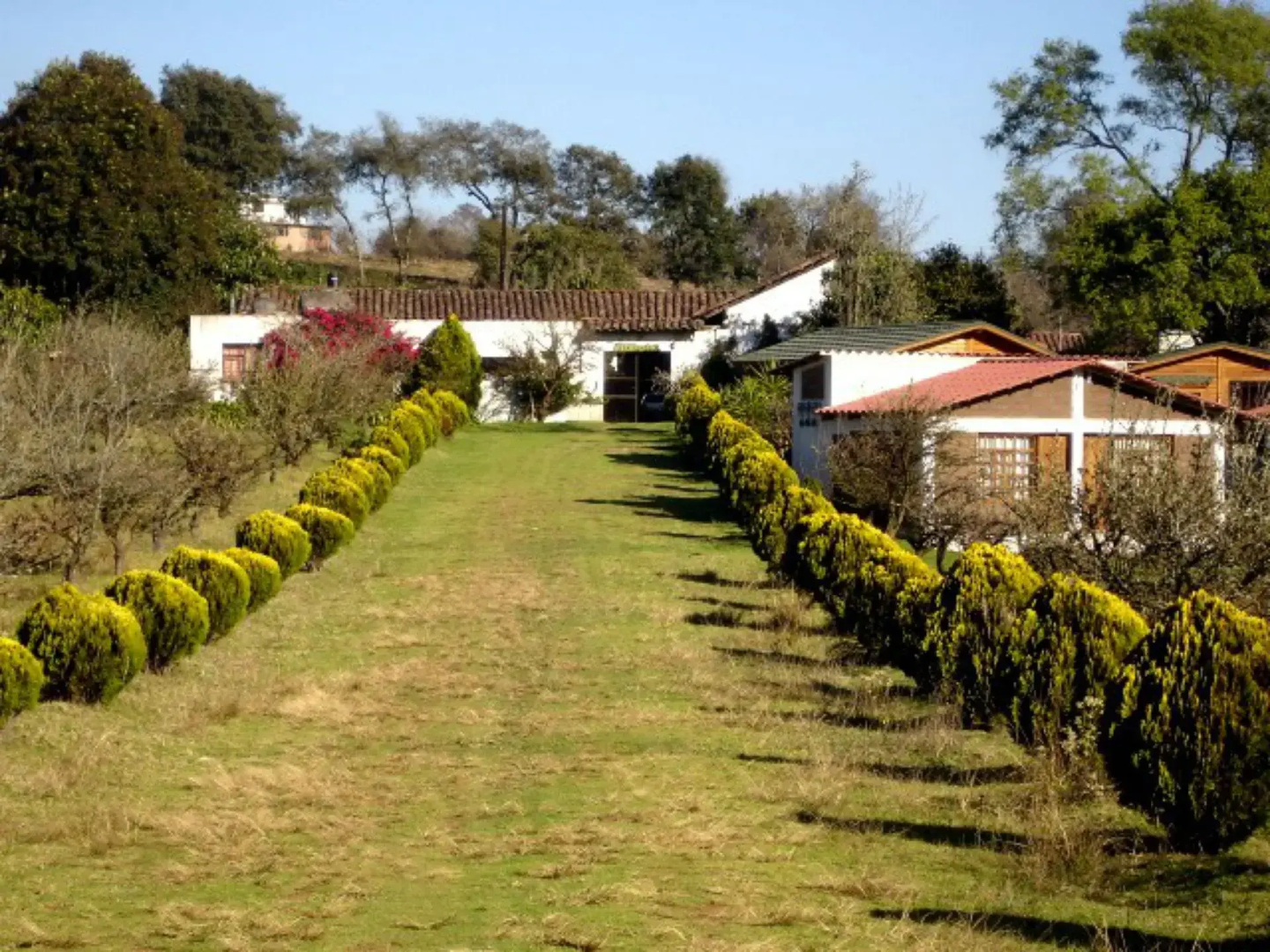 Cabañas los Jilgueros