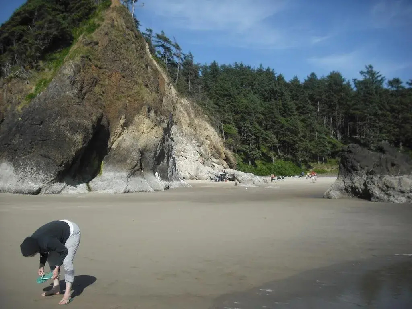 Grey Whale Inn
