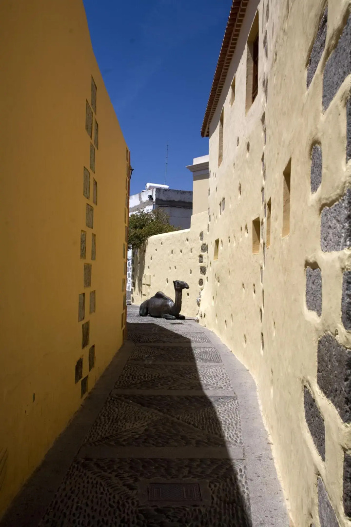 Отель Rural Casa de los Camellos