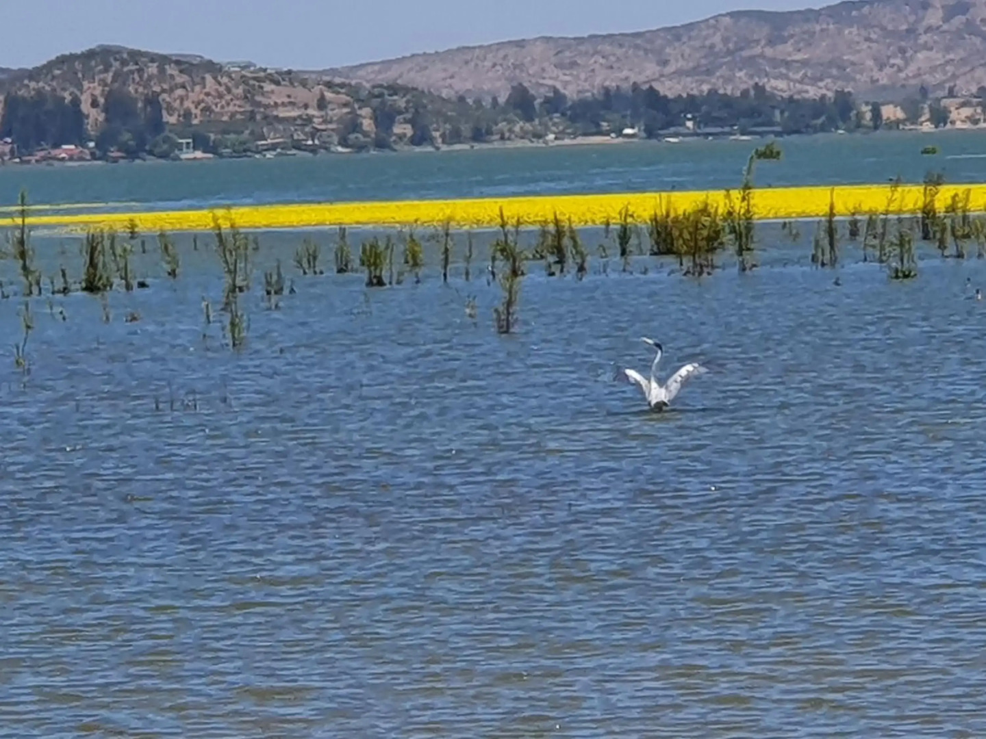 Parcela de 3 hectáreas con orilla de Lago
