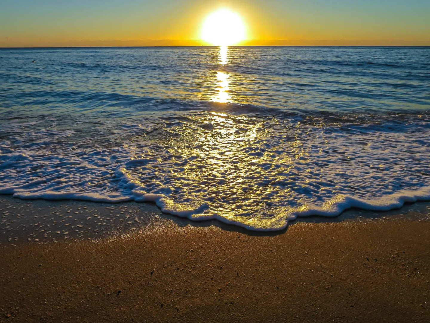 Roydon Beachfront Apartments