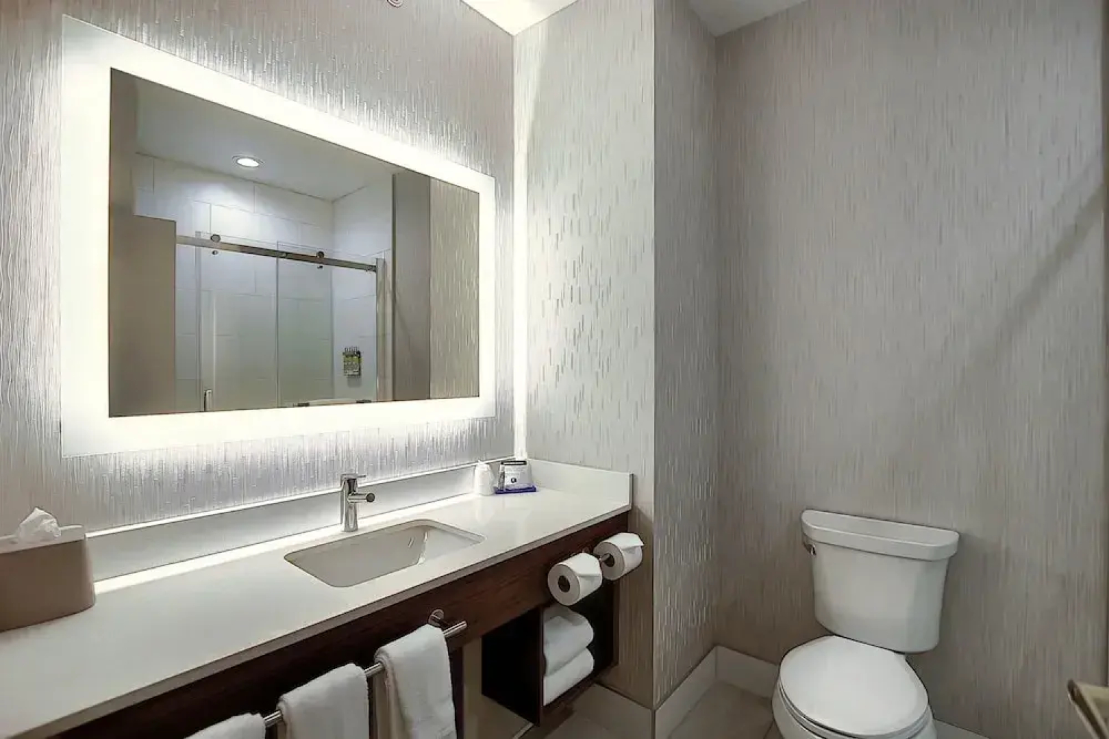 Holiday Inn Express Hotel & Suites Airport - Calgary