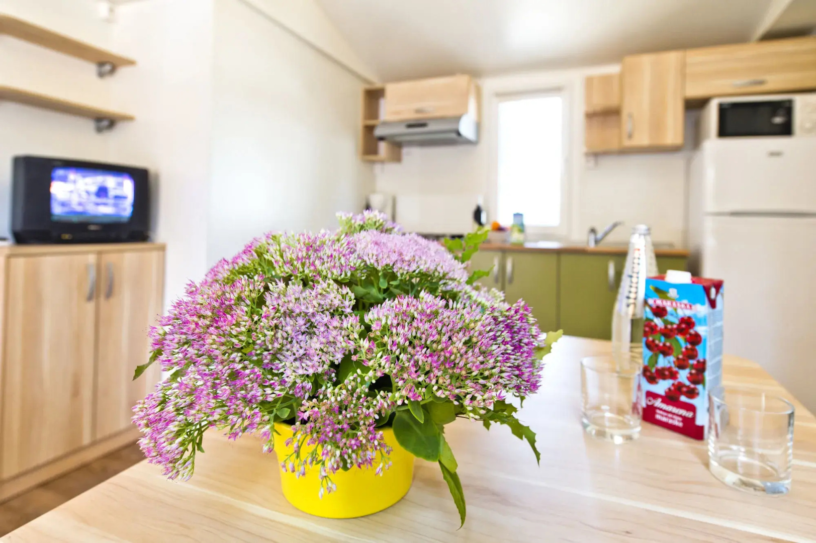 Zaton Holiday Resort Camping homes
