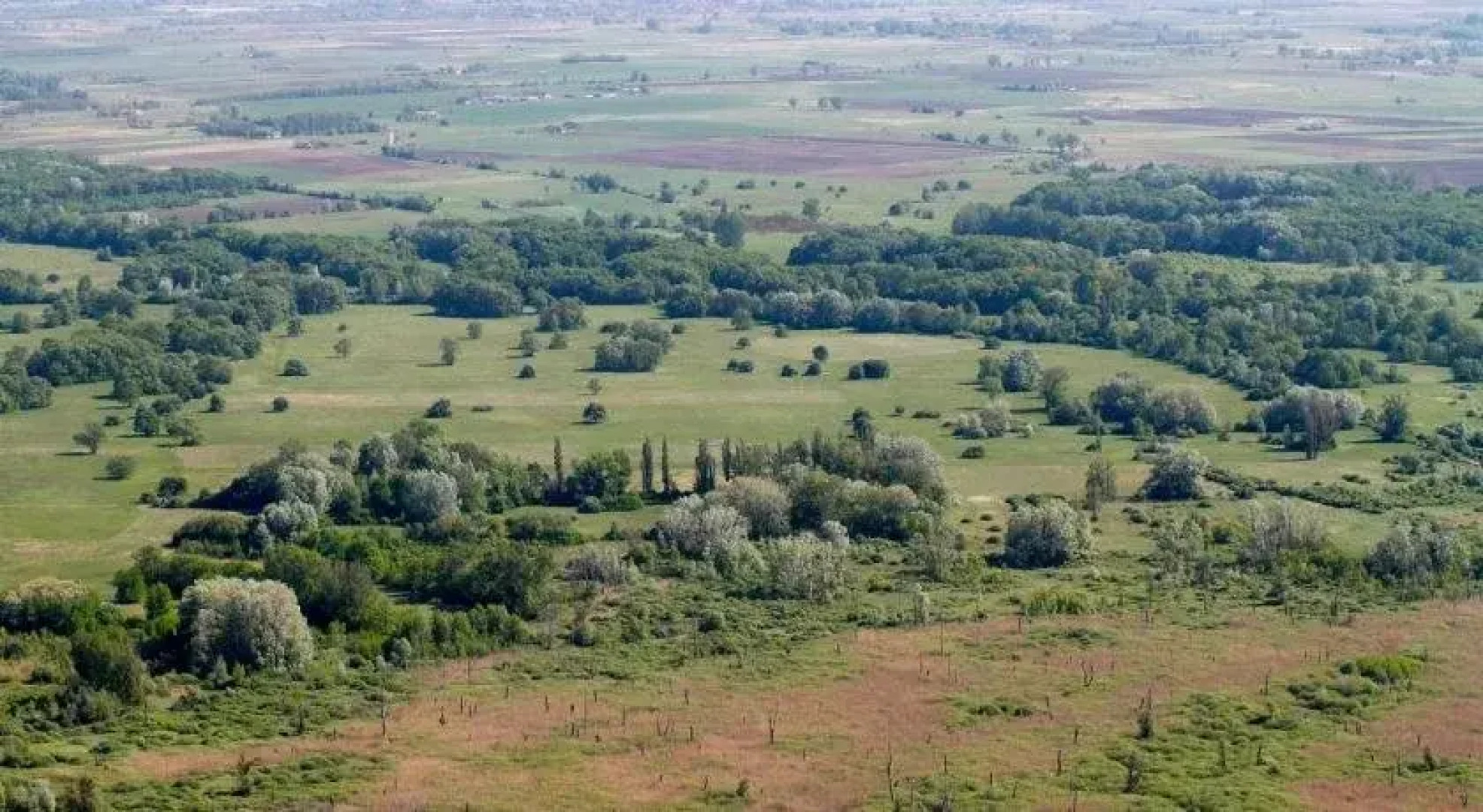 El Bronco Working Ranch