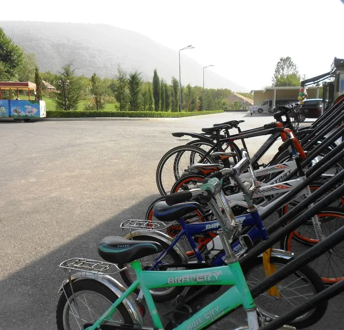 Шекинский  парк